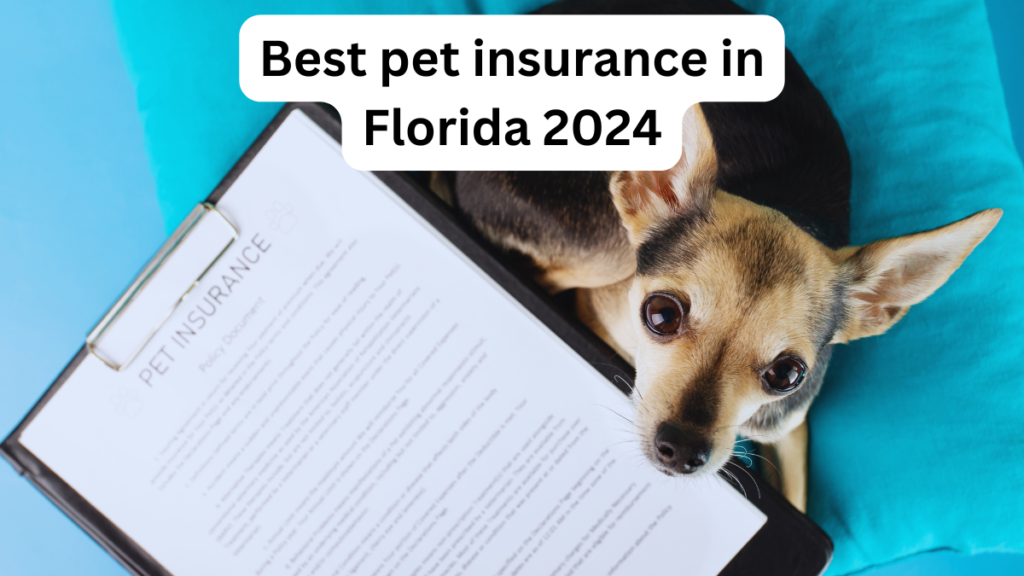 Best pet insurance in Florida 2024