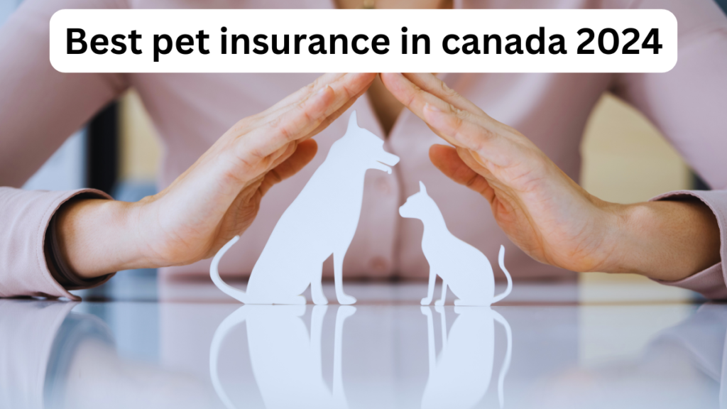 Best pet insurance in canada 2024