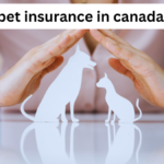 Best pet insurance in canada 2024