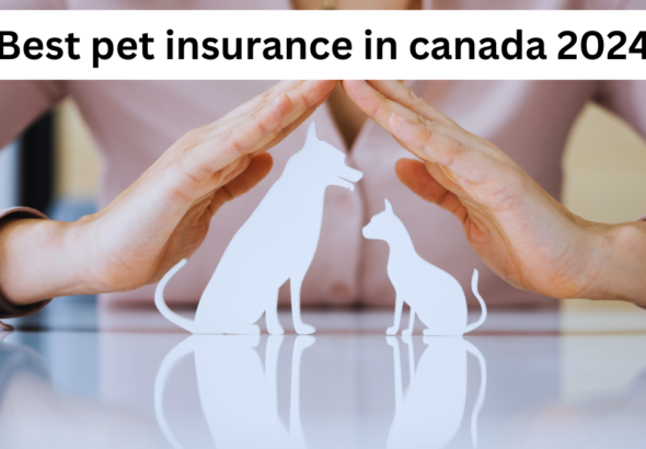 Best pet insurance in canada 2024