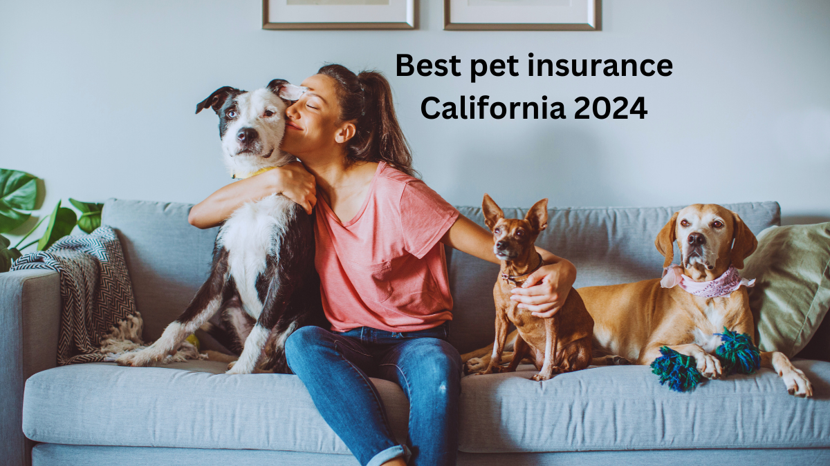 Best pet insurance California 2024