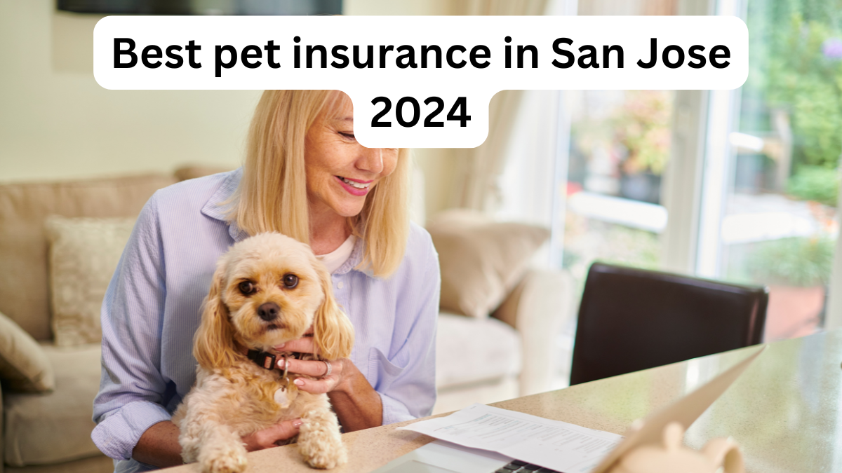 Best pet insurance in San Jose 2024