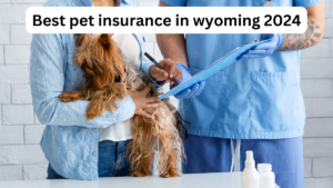 Best pet insurance in wyoming 2024