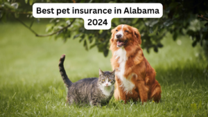 Best pet insurance in Alabama 2024