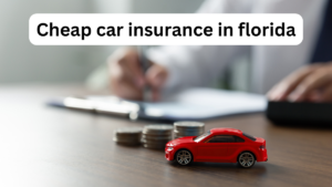 Cheap car insurance in florida