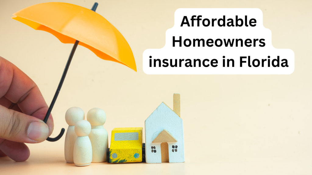 Affordable Homeowners insurance in Florida