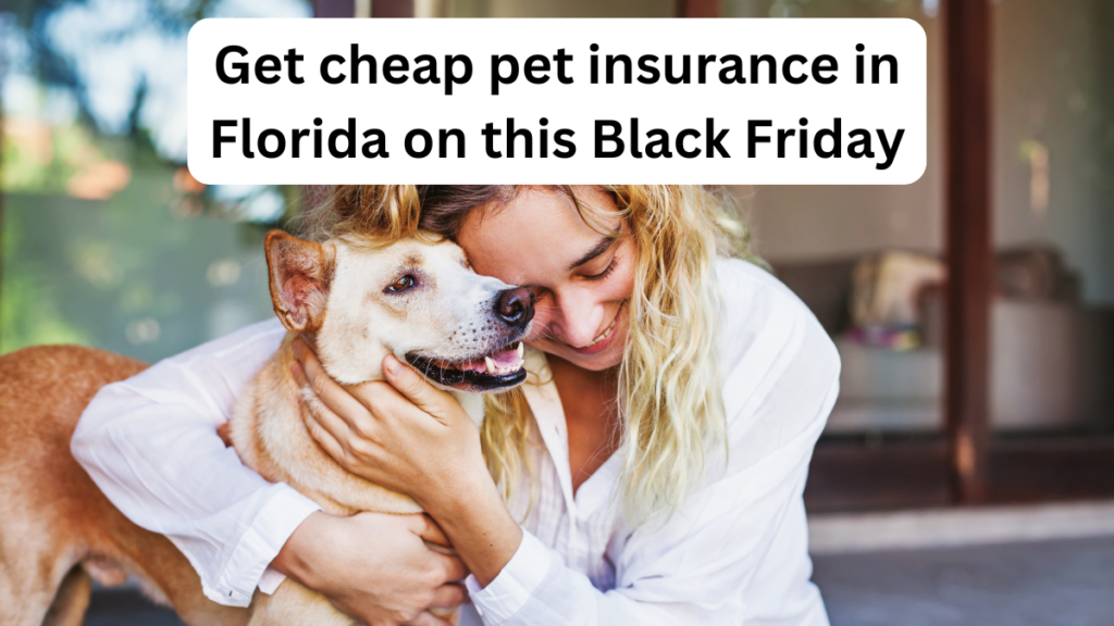 Get cheap pet insurance in Florida on this Black Friday